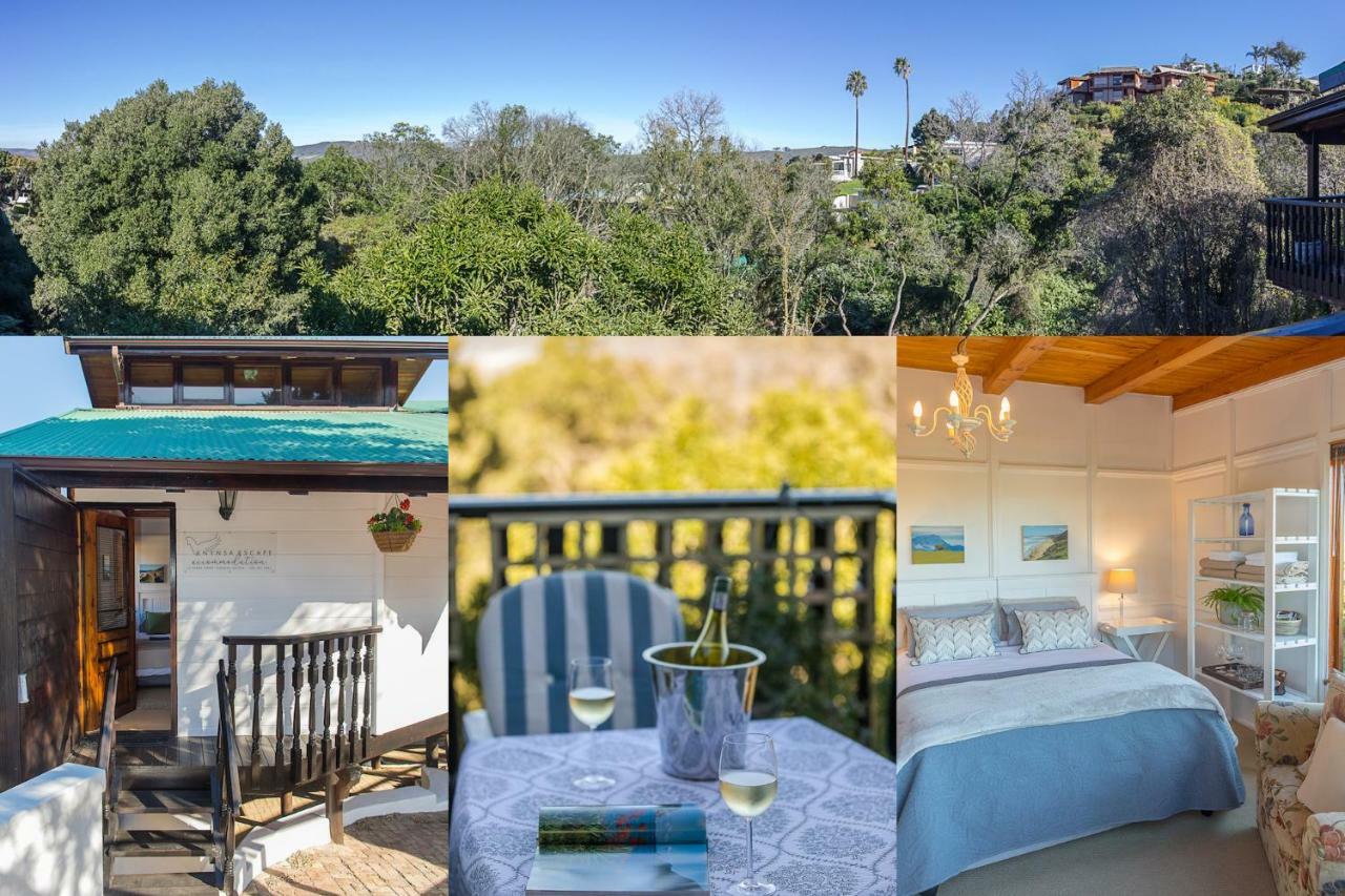 Knysna Escape Accommodation מראה חיצוני תמונה